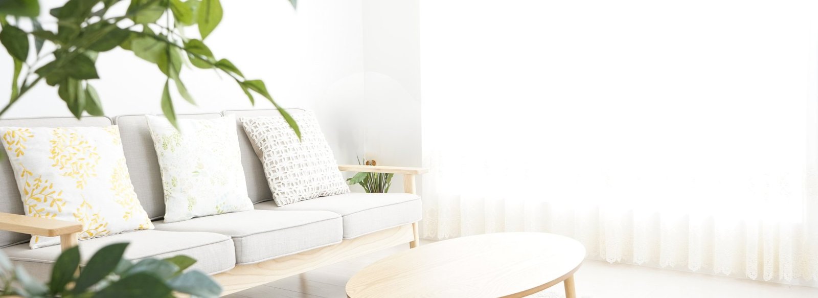 A sunlit living room with natural wood furniture and green plants